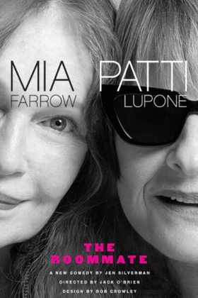 Poster for The Roommate