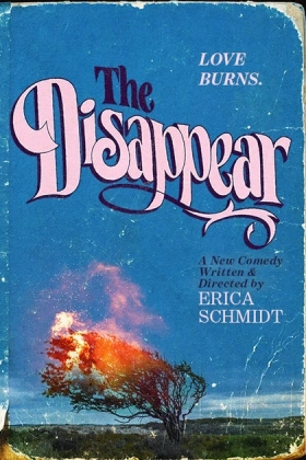 Poster for The Disappear