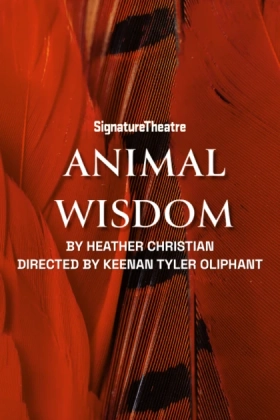 Poster for Animal Wisdom