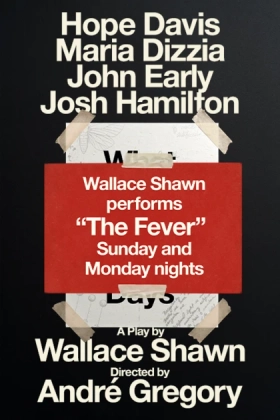 Poster for The Fever