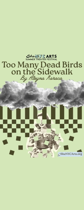 Poster for Too Many Dead Birds on the Sidewalk
