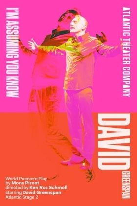 Poster for I'm Assuming You Know David Greenspan