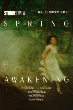 Poster for Spring Awakening