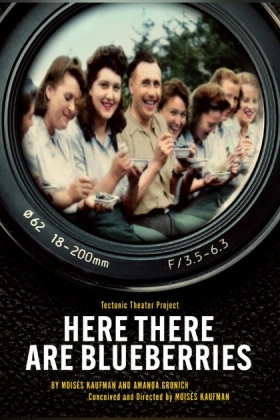 Poster for Here There Are Blueberries