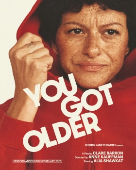Poster for You Got Older