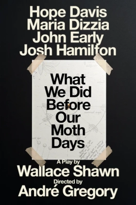 Poster for What We Did Before Our Moth Days