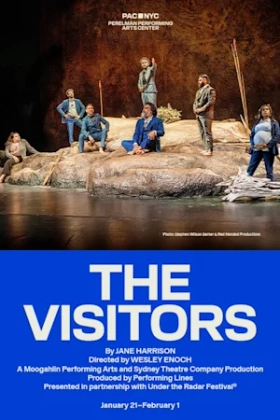 Poster for The Visitors