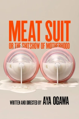 Poster for Meat Suit