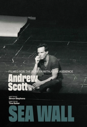 Poster for Sea Wall
